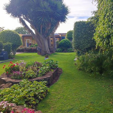La Chimenea Verde Tacoronte Exteriör bild