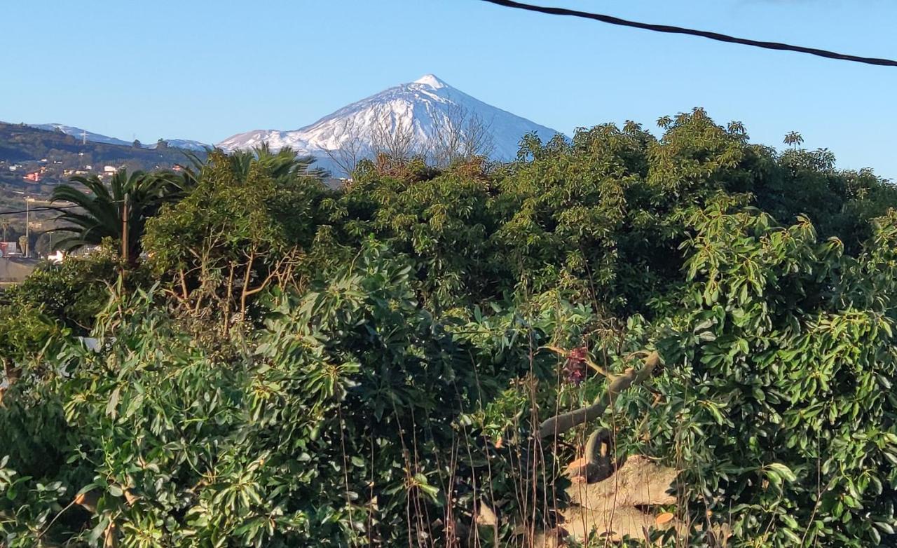 La Chimenea Verde Tacoronte Exteriör bild