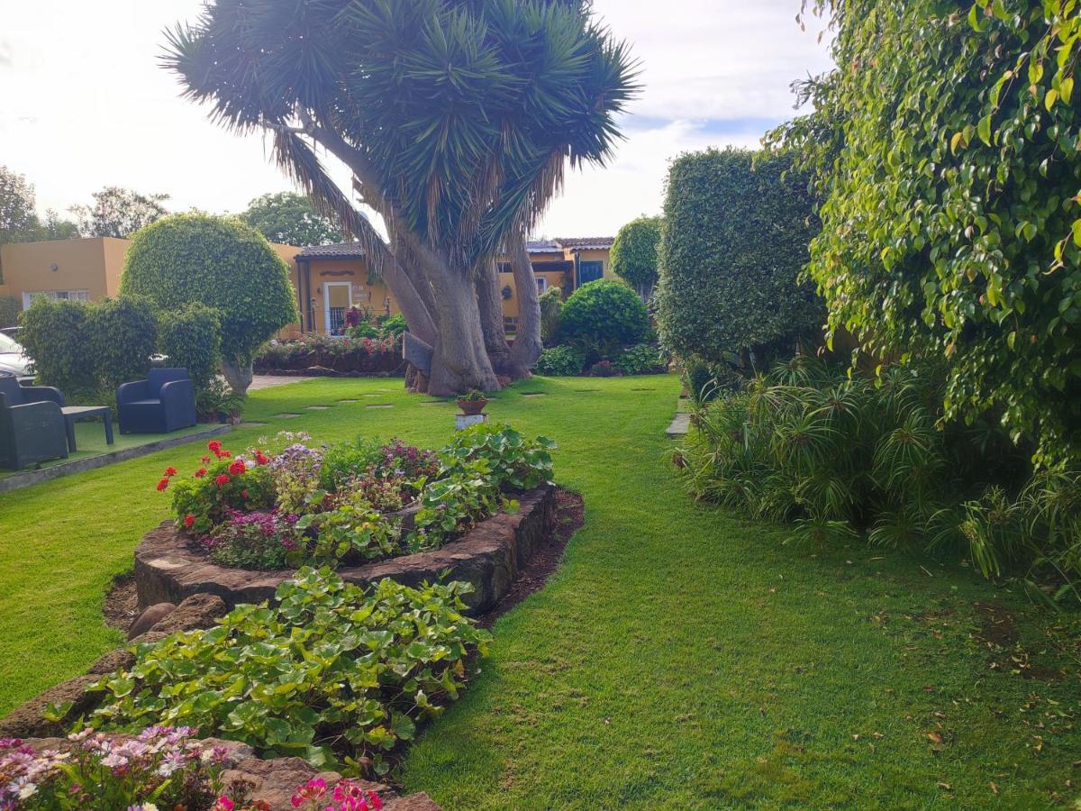 La Chimenea Verde Tacoronte Exteriör bild